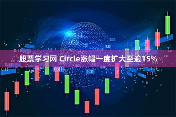股票学习网 Circle涨幅一度扩大至逾15%