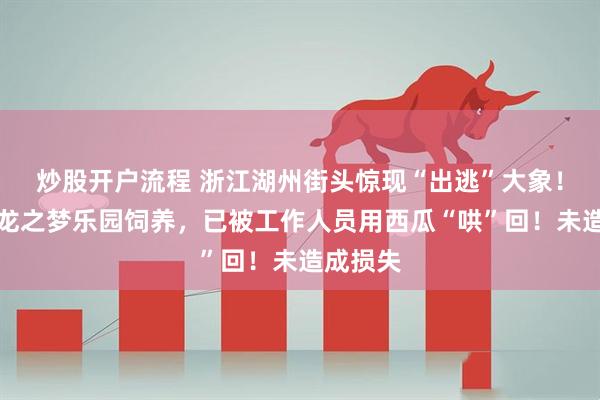 炒股开户流程 浙江湖州街头惊现“出逃”大象！系太湖龙之梦乐园饲养，已被工作人员用西瓜“哄”回！未造成损失